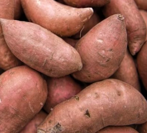 sweet-potatoes-certified-organic
