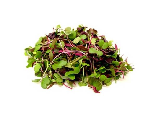 organic-gourmet-salad-mix-microgreens4oz