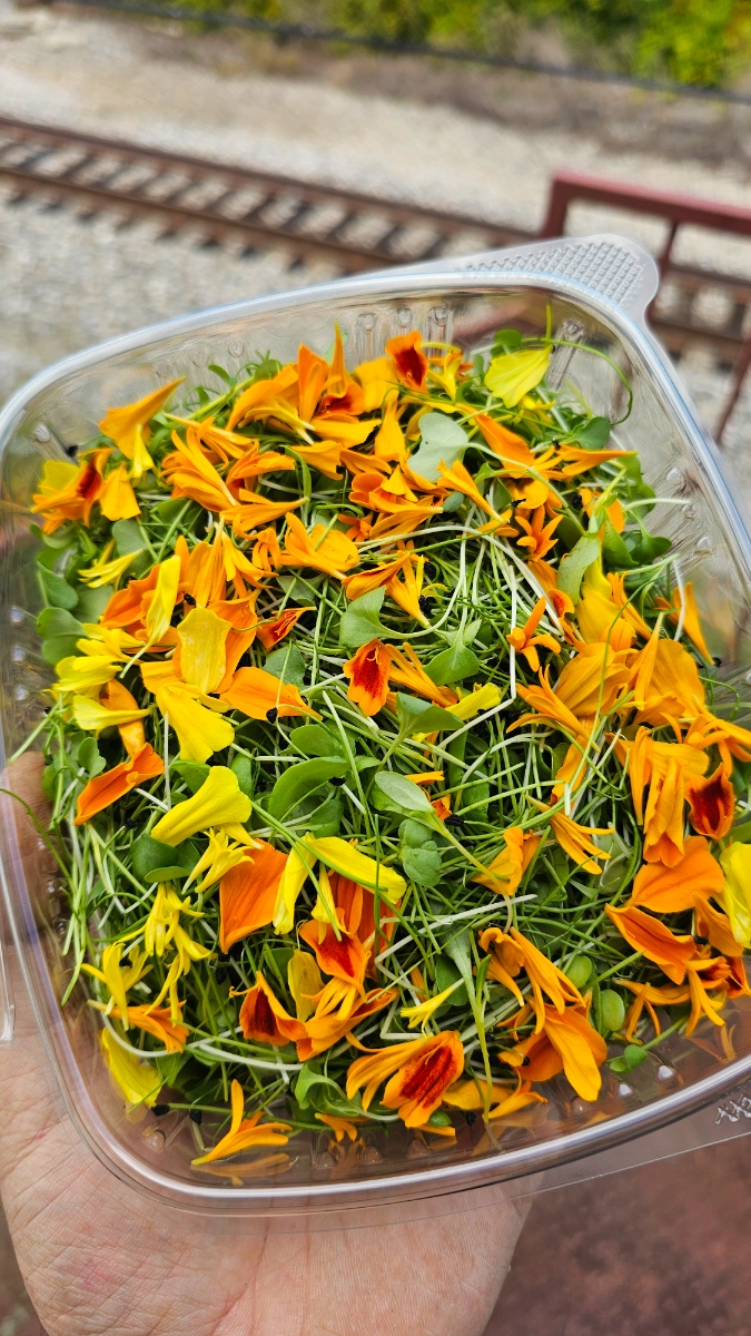 seasonal-chefs-blend