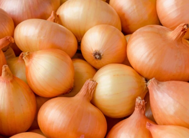 onions-yellow-spanish-15-lbs-cert-organic