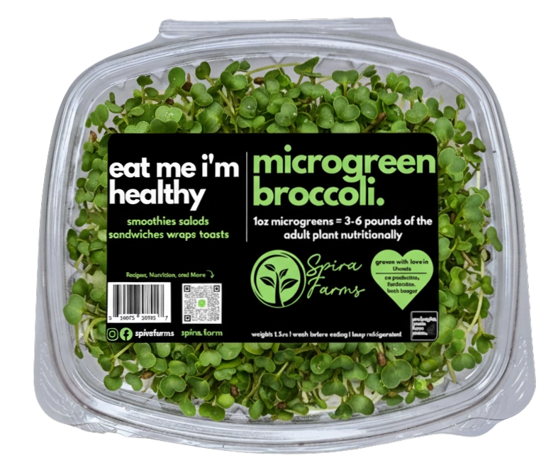 microgreen-broccoli-2
