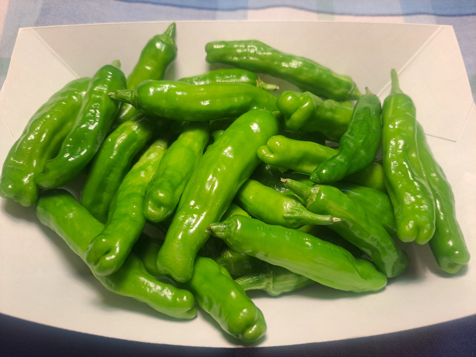 shishito-peppers-31