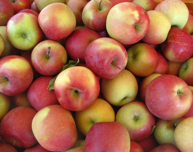 fuji-apples-2-lbs-2