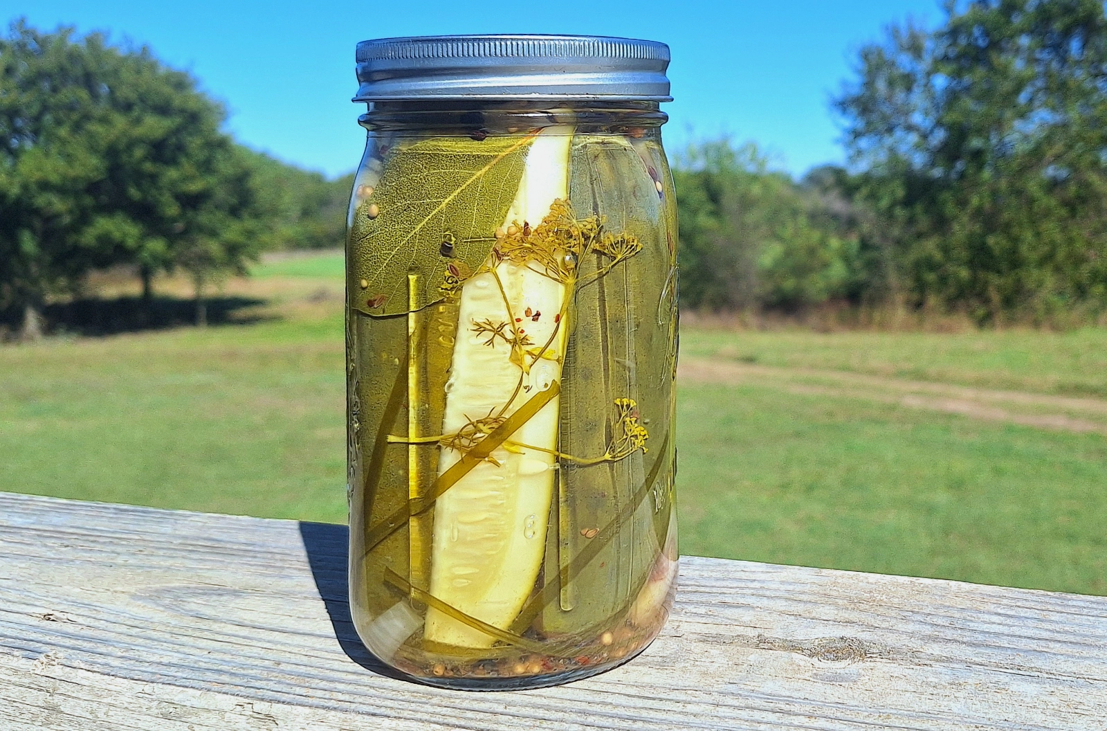 dill-pickles-1-quart