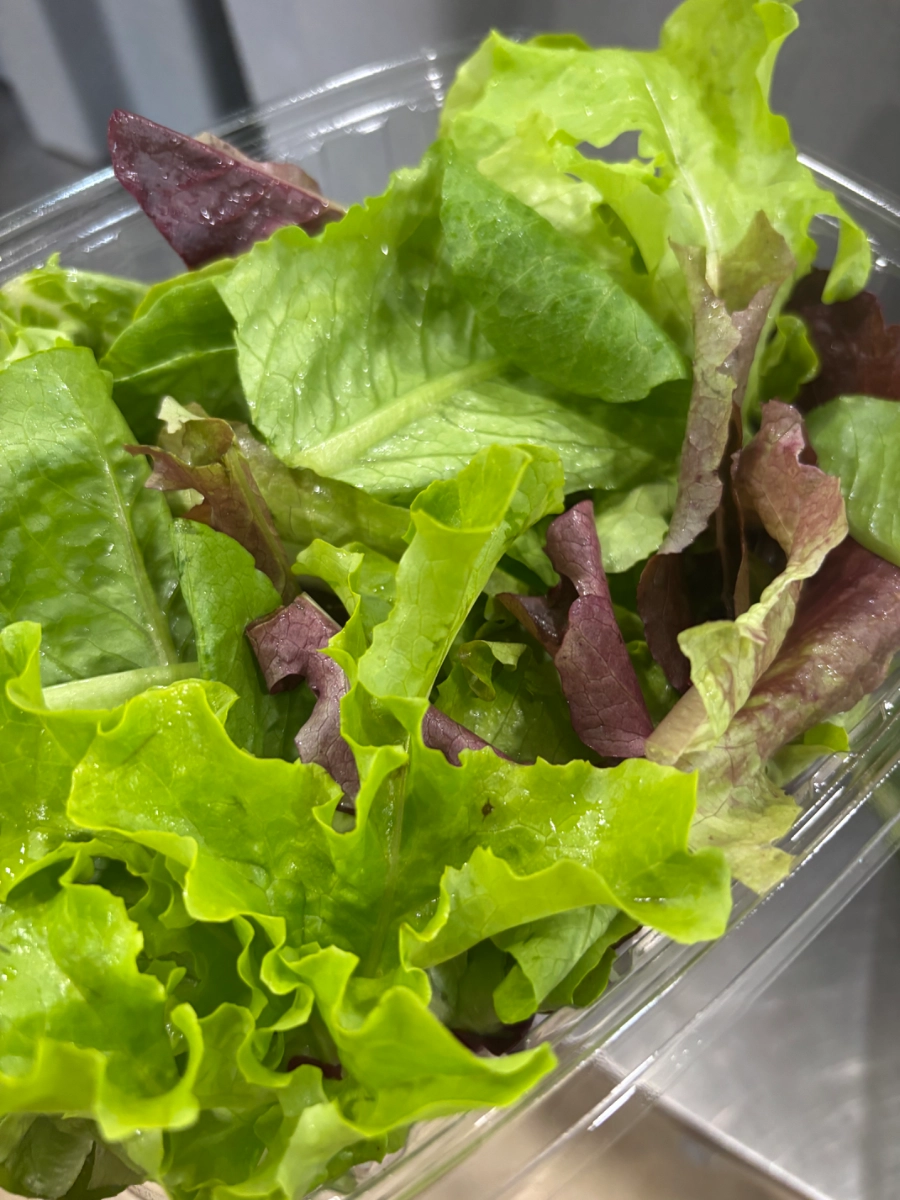 lettuce-mix-8-oz-4