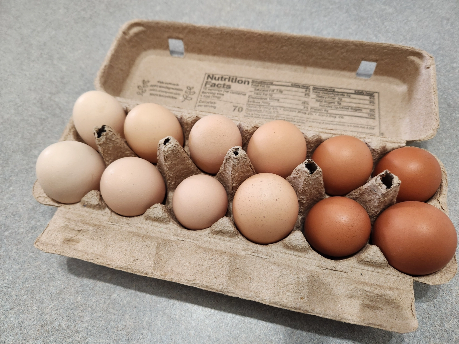 pasture-raised-eggs-1-dozen-7