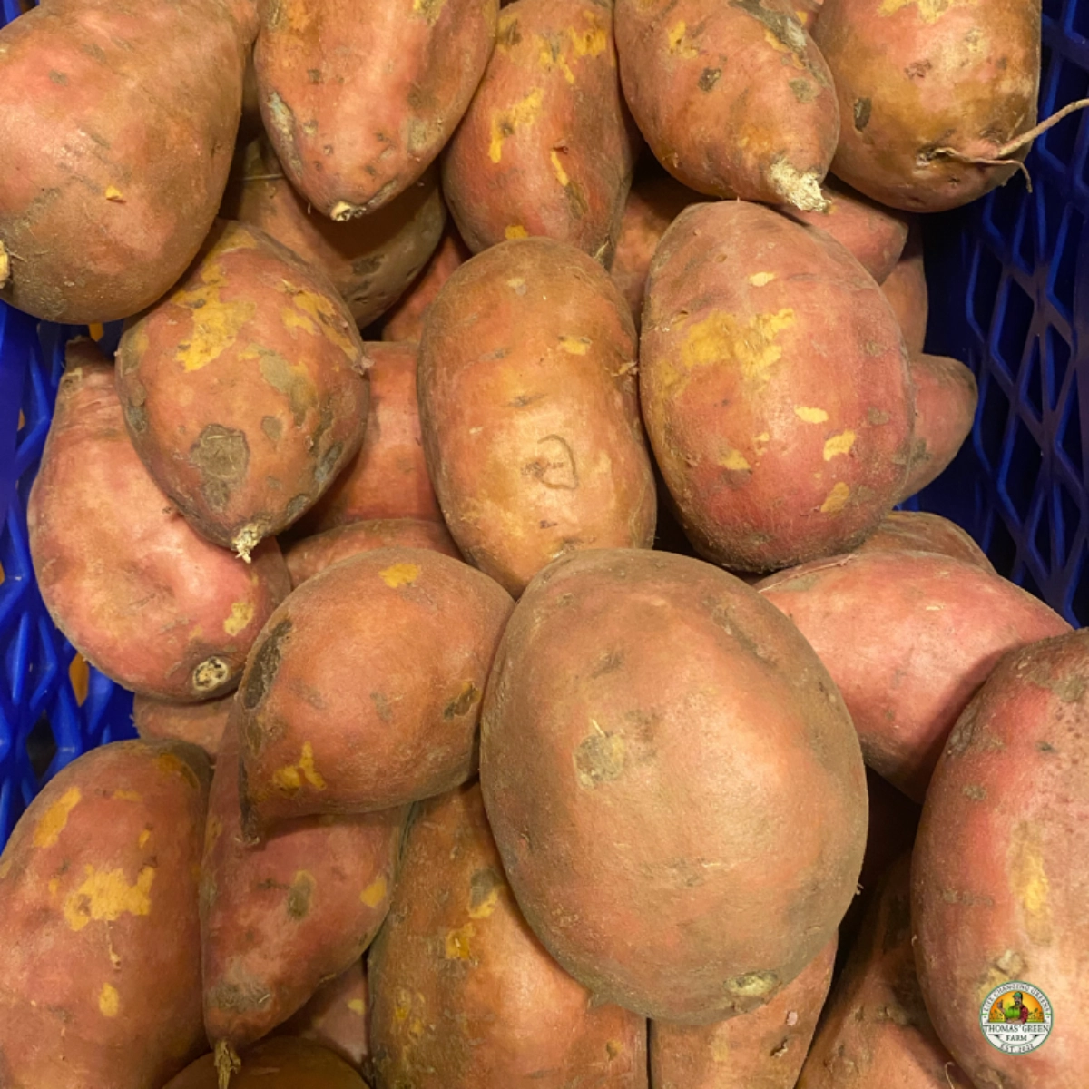 sweet-potatoes-regular-1-quart-