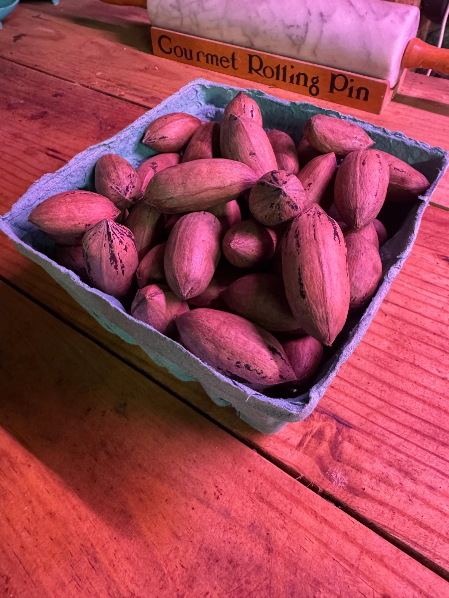 tennesseegrown-unshelled-pecans-1-lb
