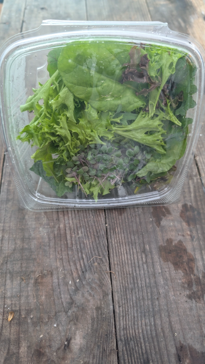 premium-salad-kits-farmtofork-just-add-dressing