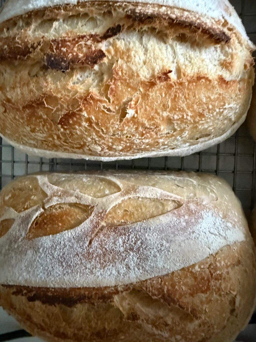 artisan-organic-sourdough-loaf