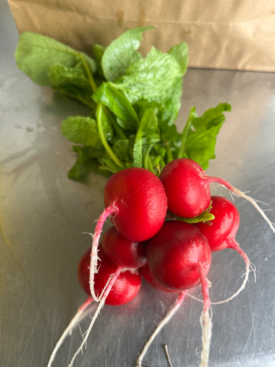 radishes-62