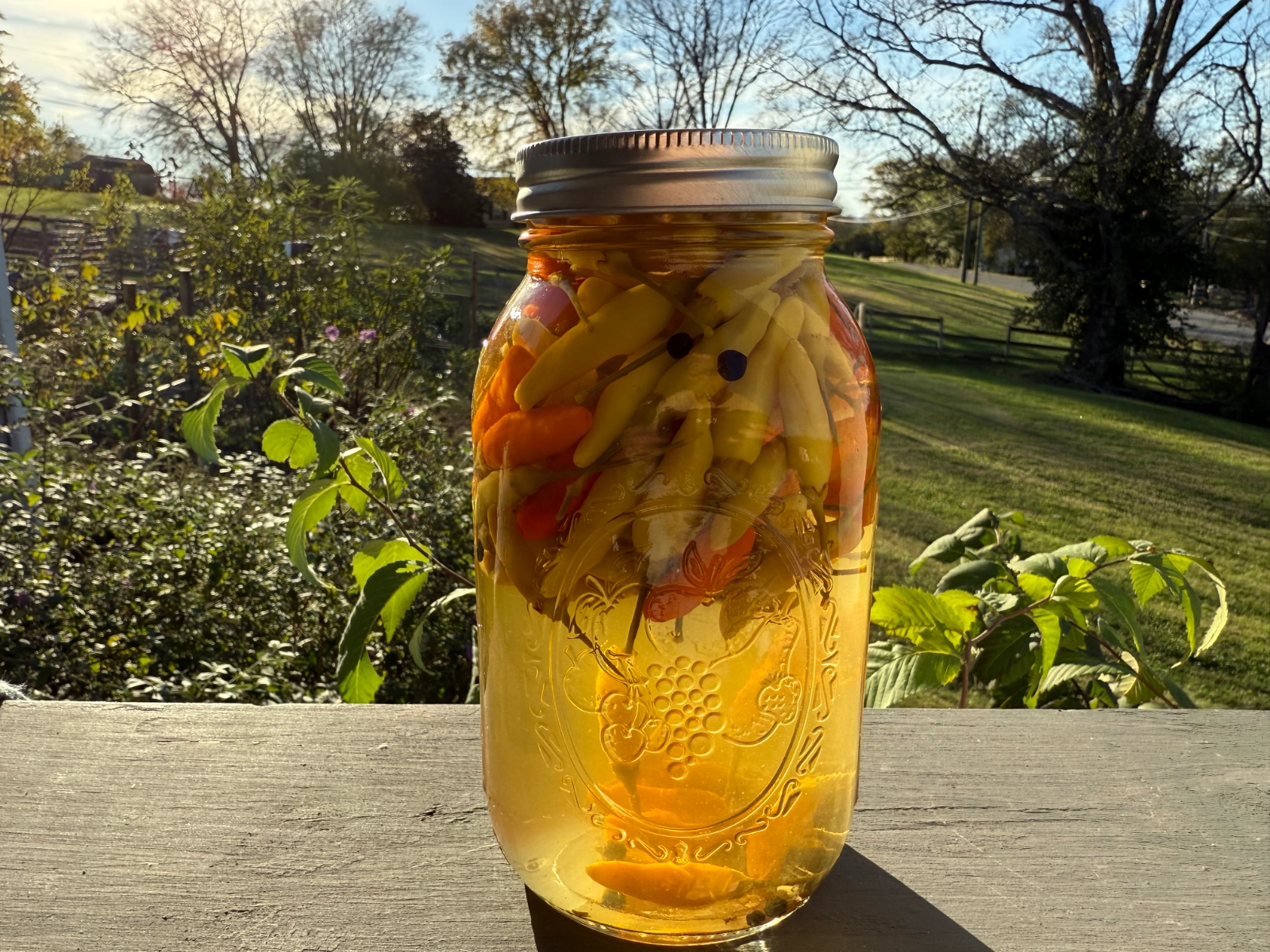 southern-tabasco-pepper-vinegar