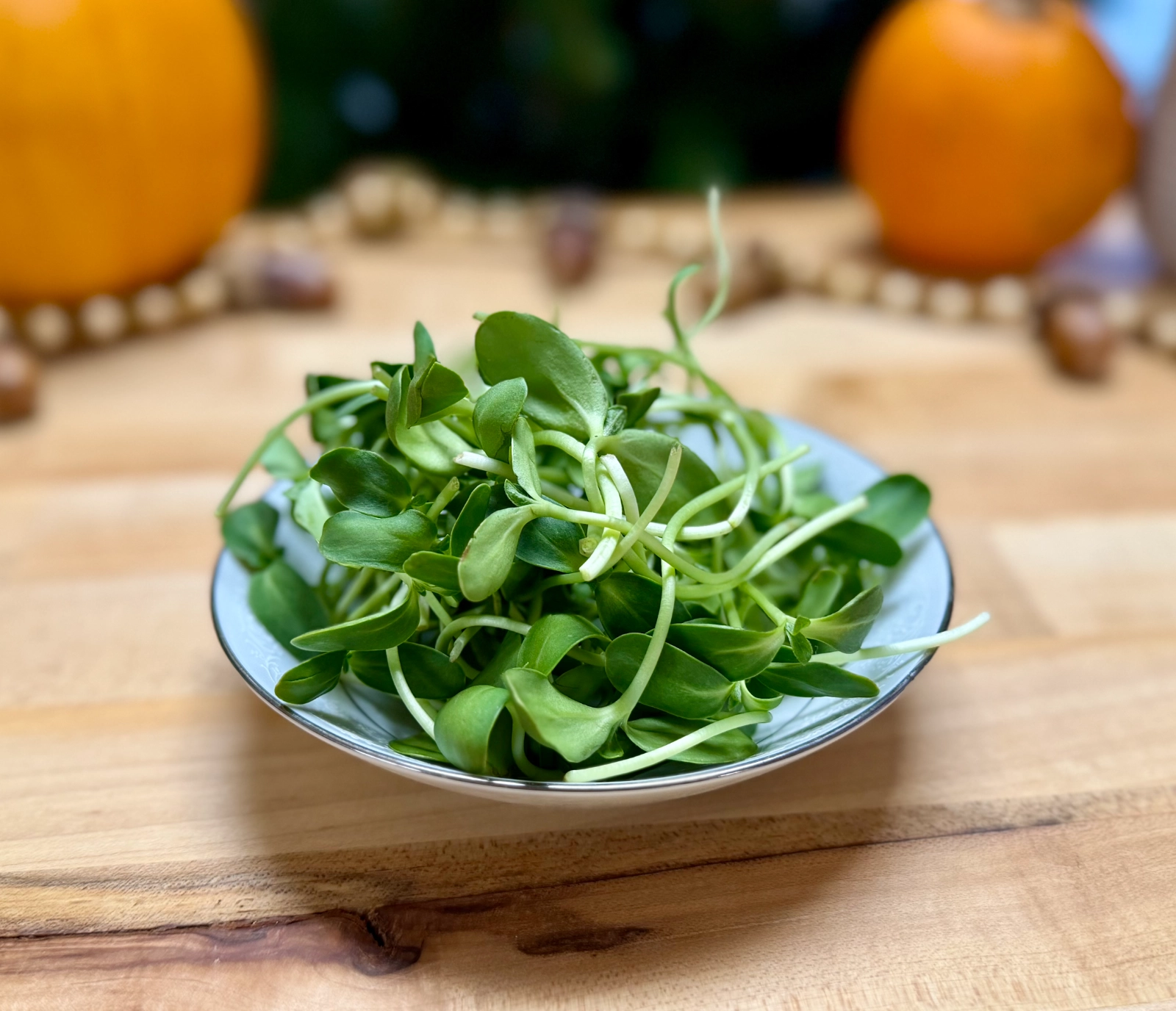 sunflower-microgreens-1-ounce-2