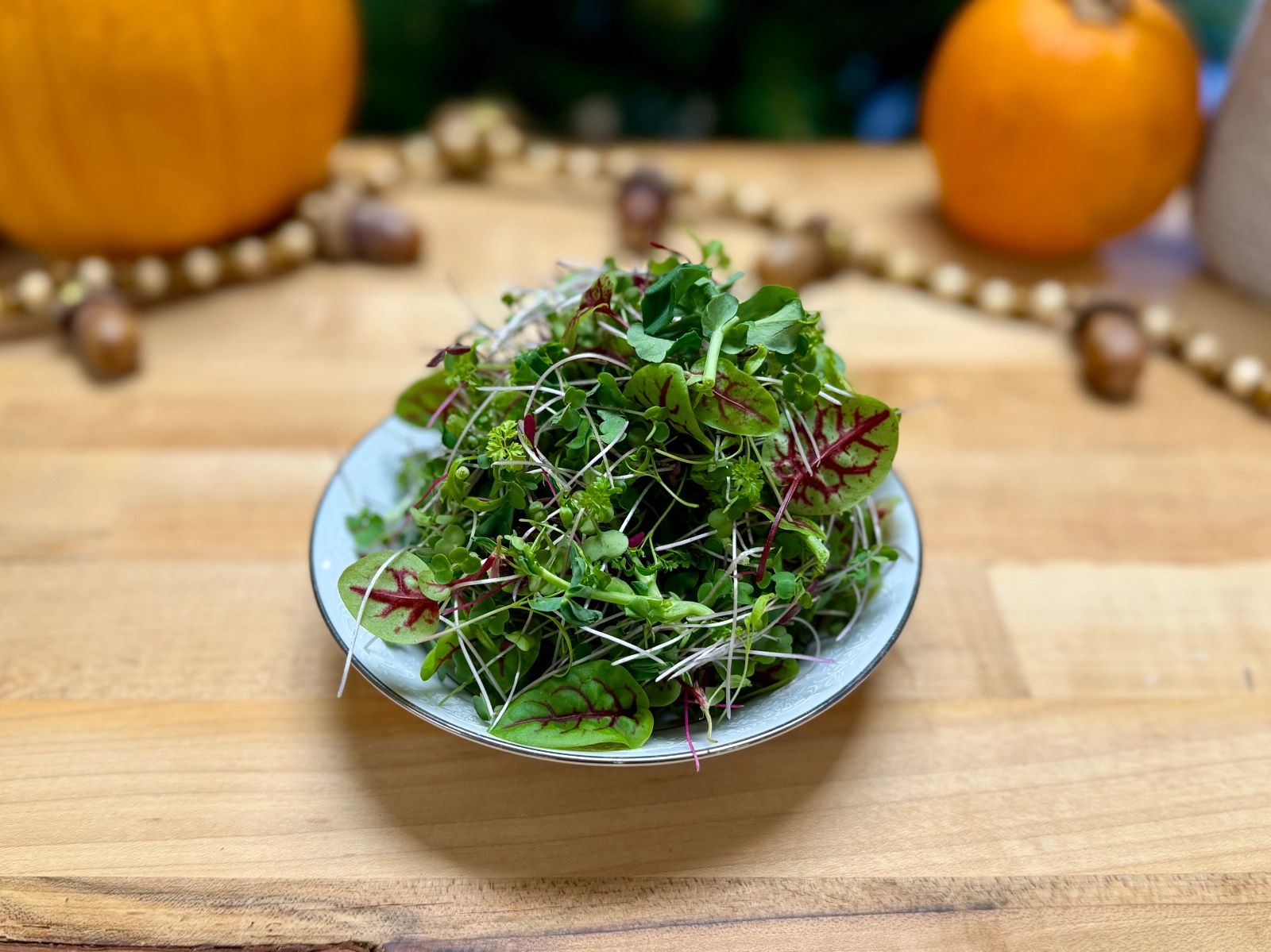 sweet-microgreen-mix-1-ounce