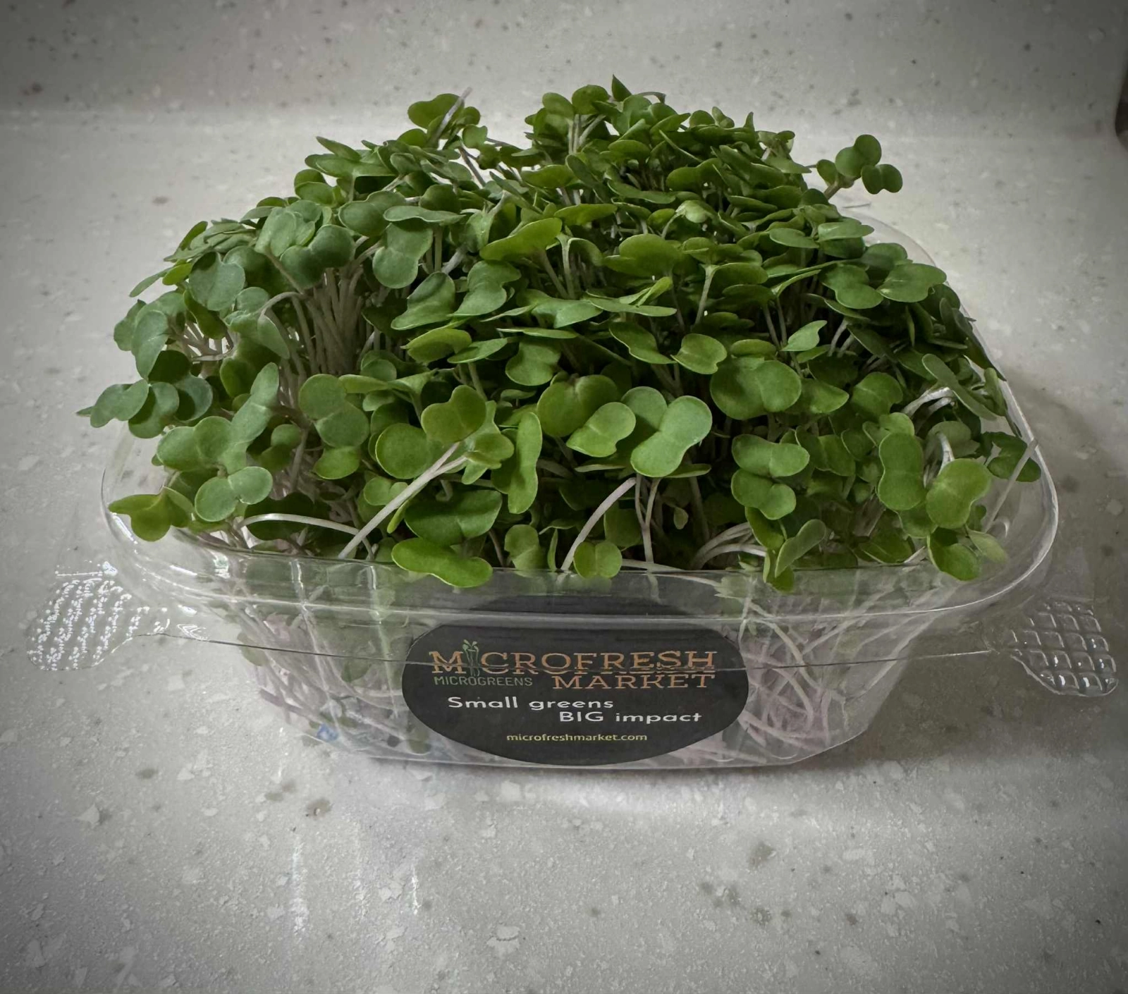 -broccoli-microgreens-