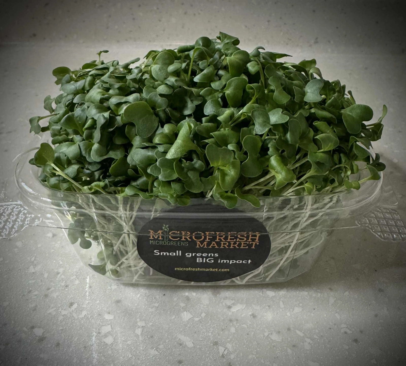 -siberian-kale-microgreens-