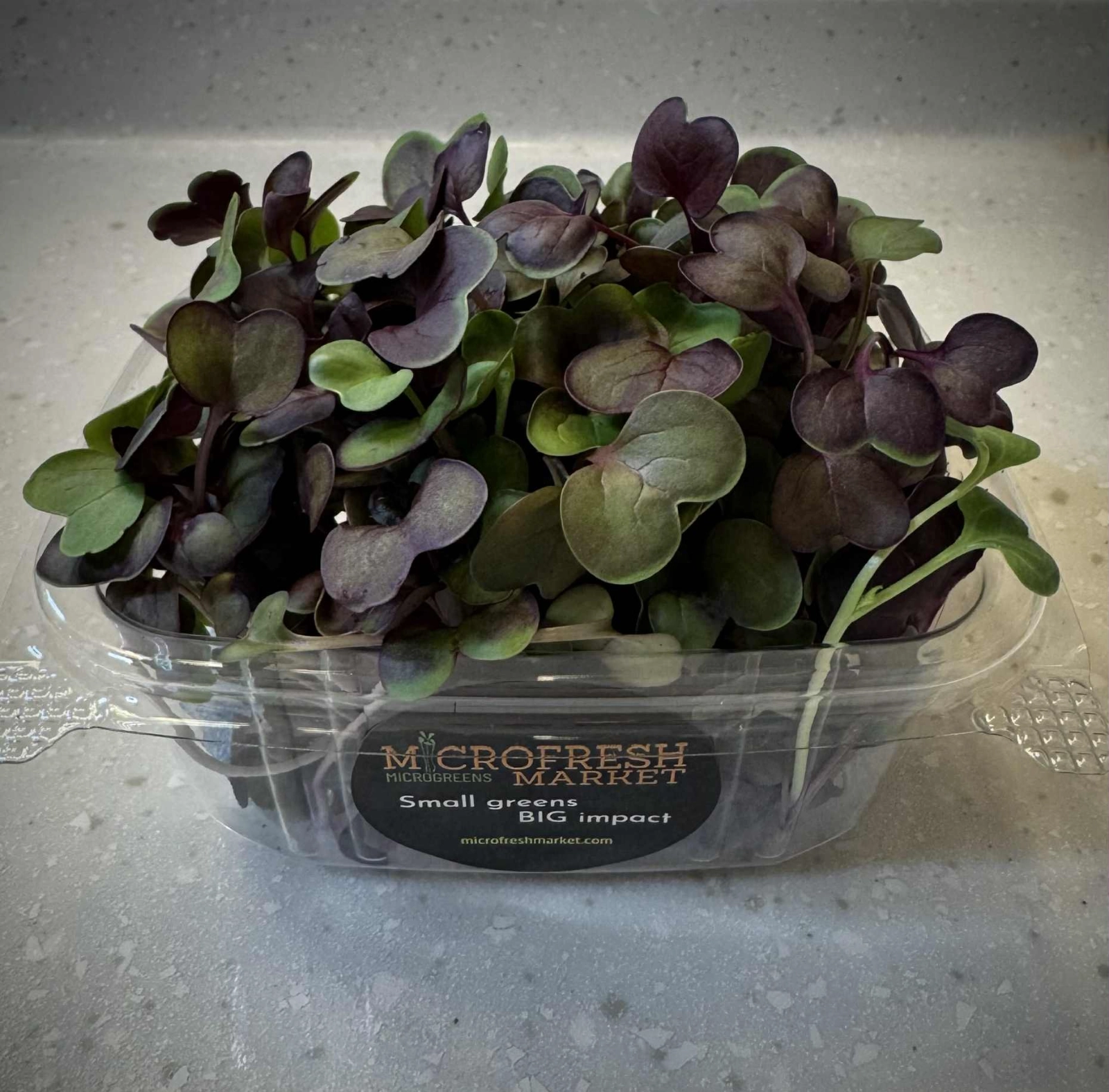 rainbow-radish-microgreens-
