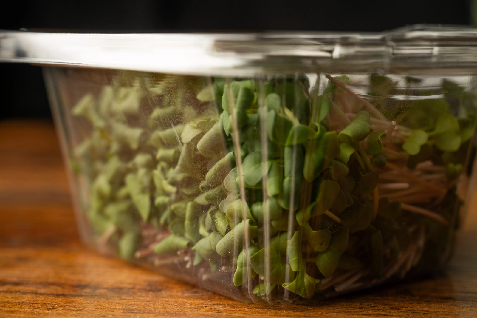 kijaniprint-radish-microgreens-2-oz