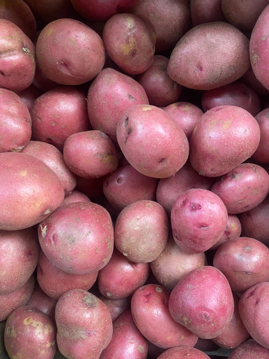 red-potatoes-1-quart-