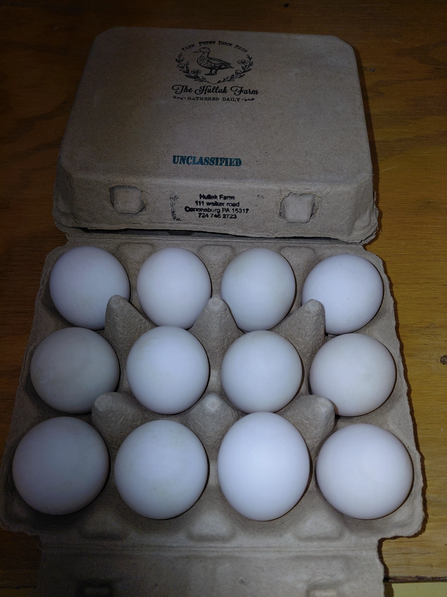 fresh-free-range-duck-eggs