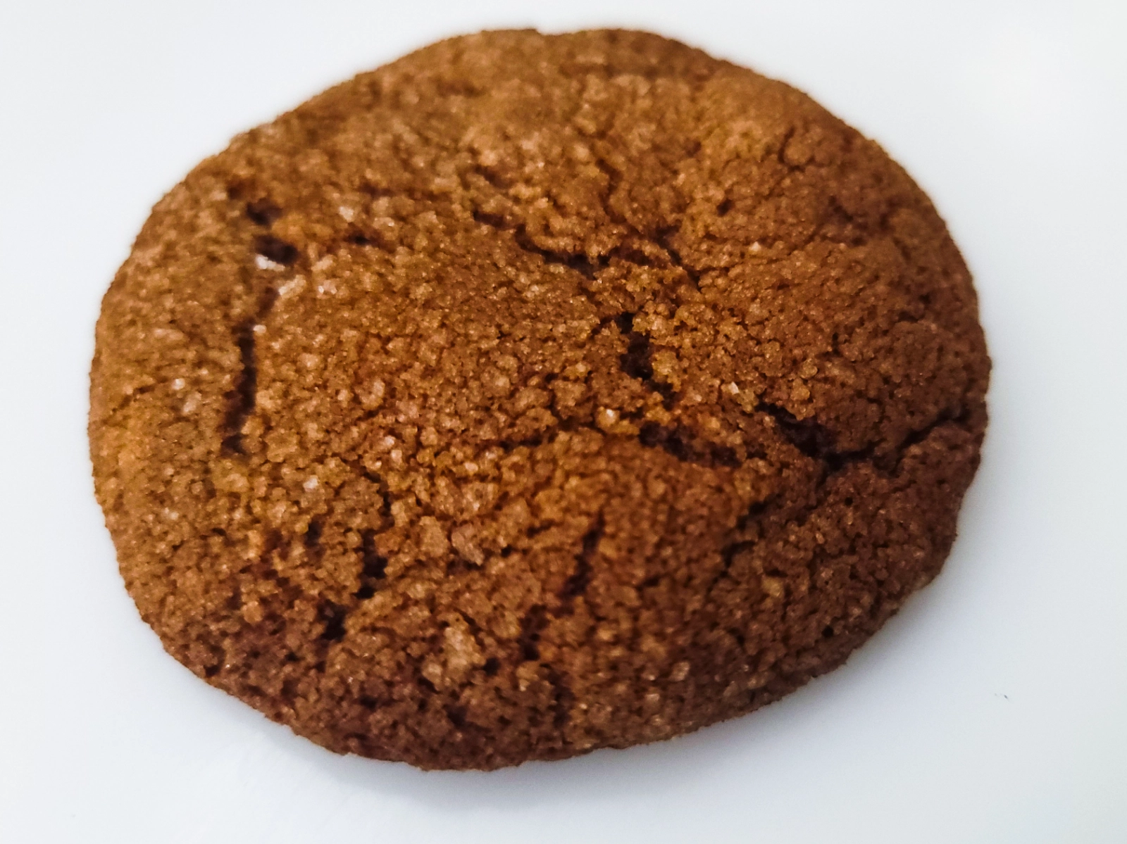 gourmet-frozen-sugared-molasses-with-crystalized-ginger-cookie-dough-3