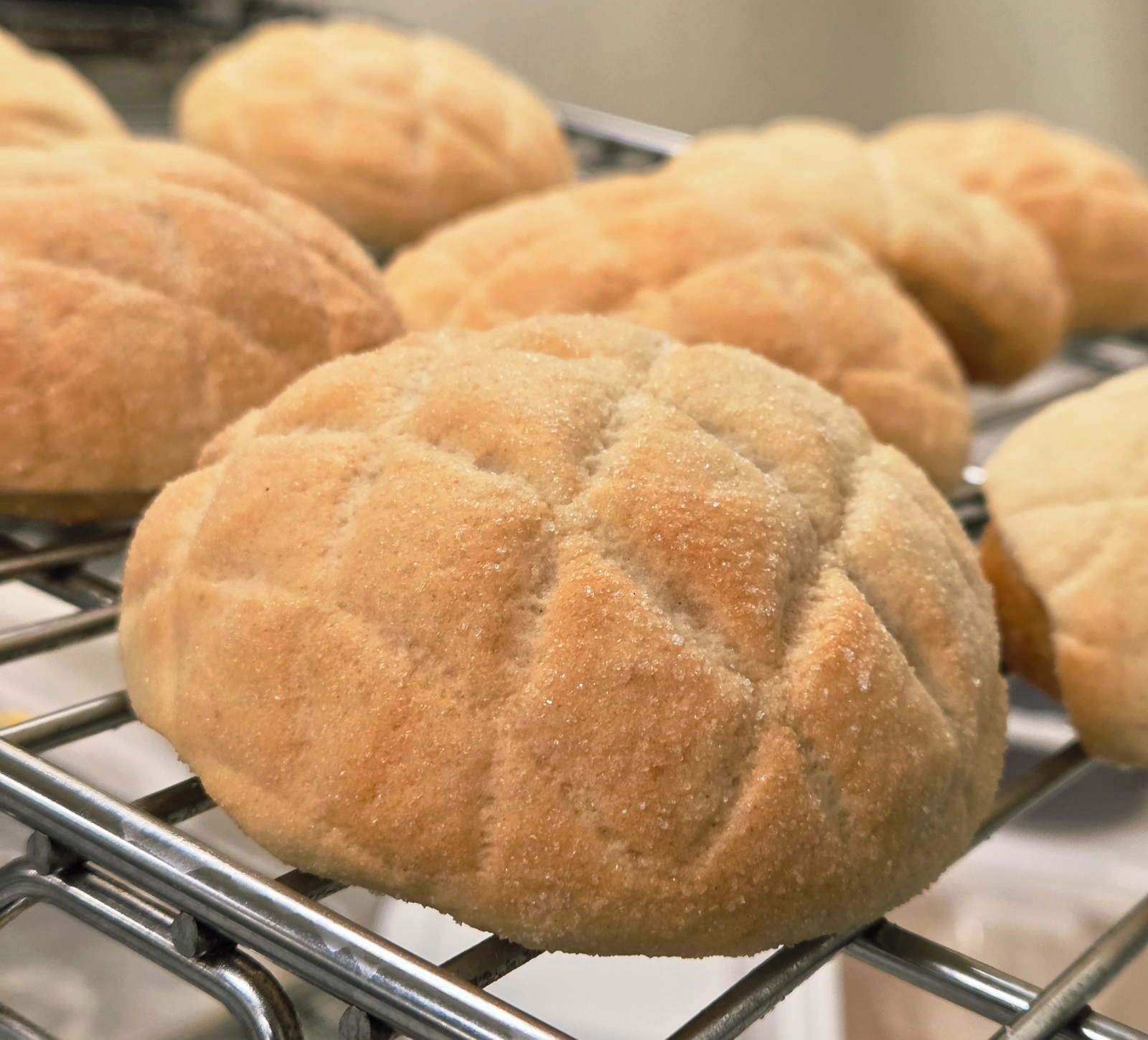 cookie-buns-japanese-melonpan-organic-wheat