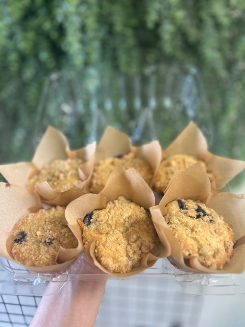 blueberry-muffins-6-pack-2