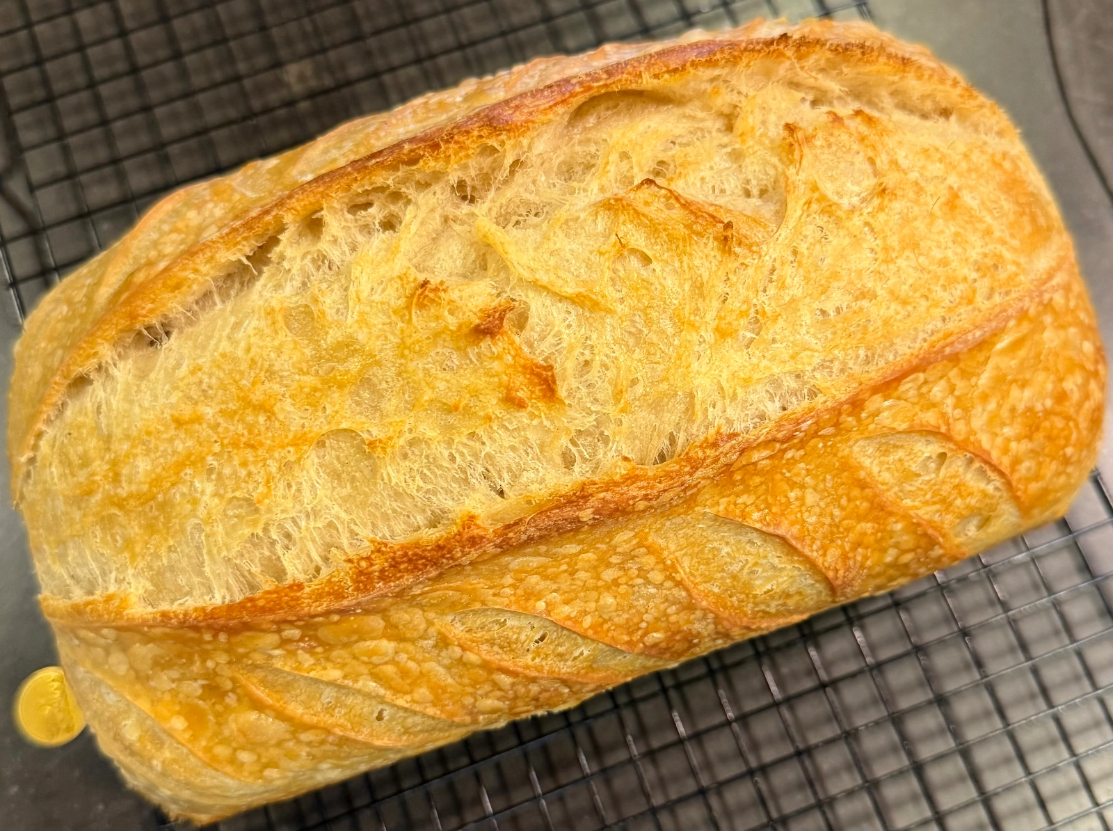 presliced-organic-classic-sourdough-sandwich-bread