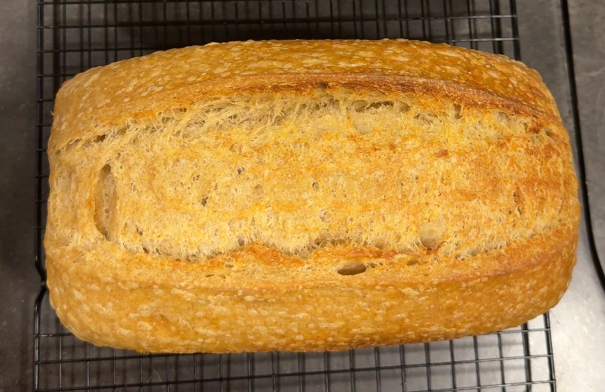 organic-sourdough-sandwich-bread-sliced