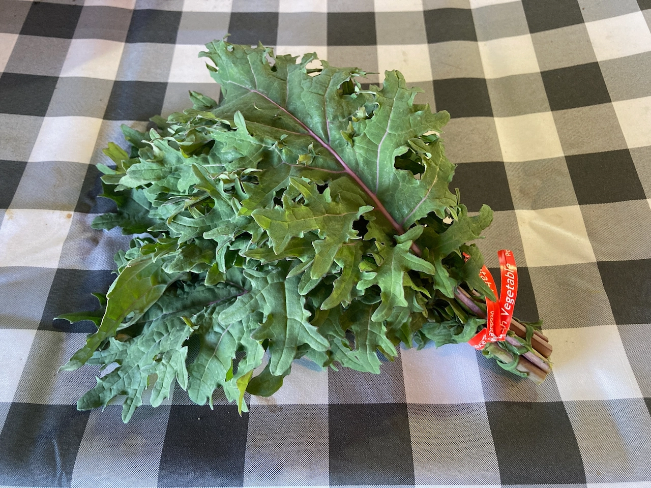 kale-red-russian-bunch-2