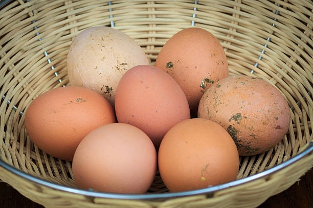 chicken-eggs-brown-organic