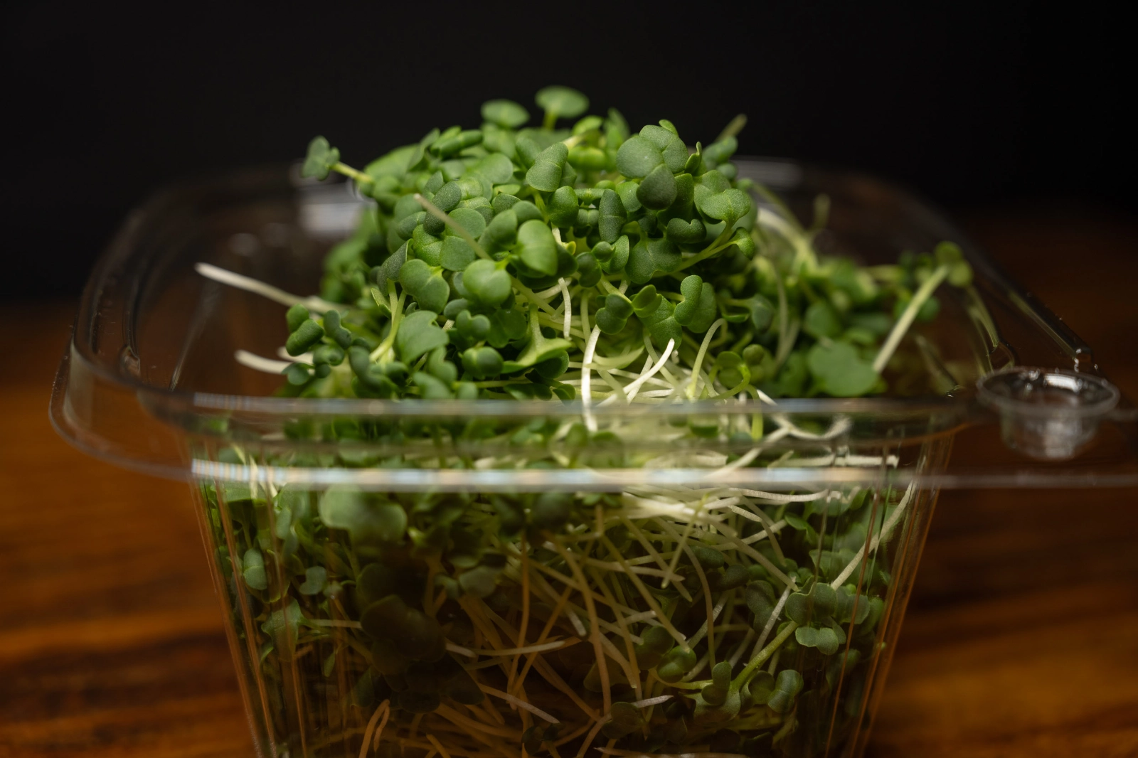 mustard-tatsoi-microgreens