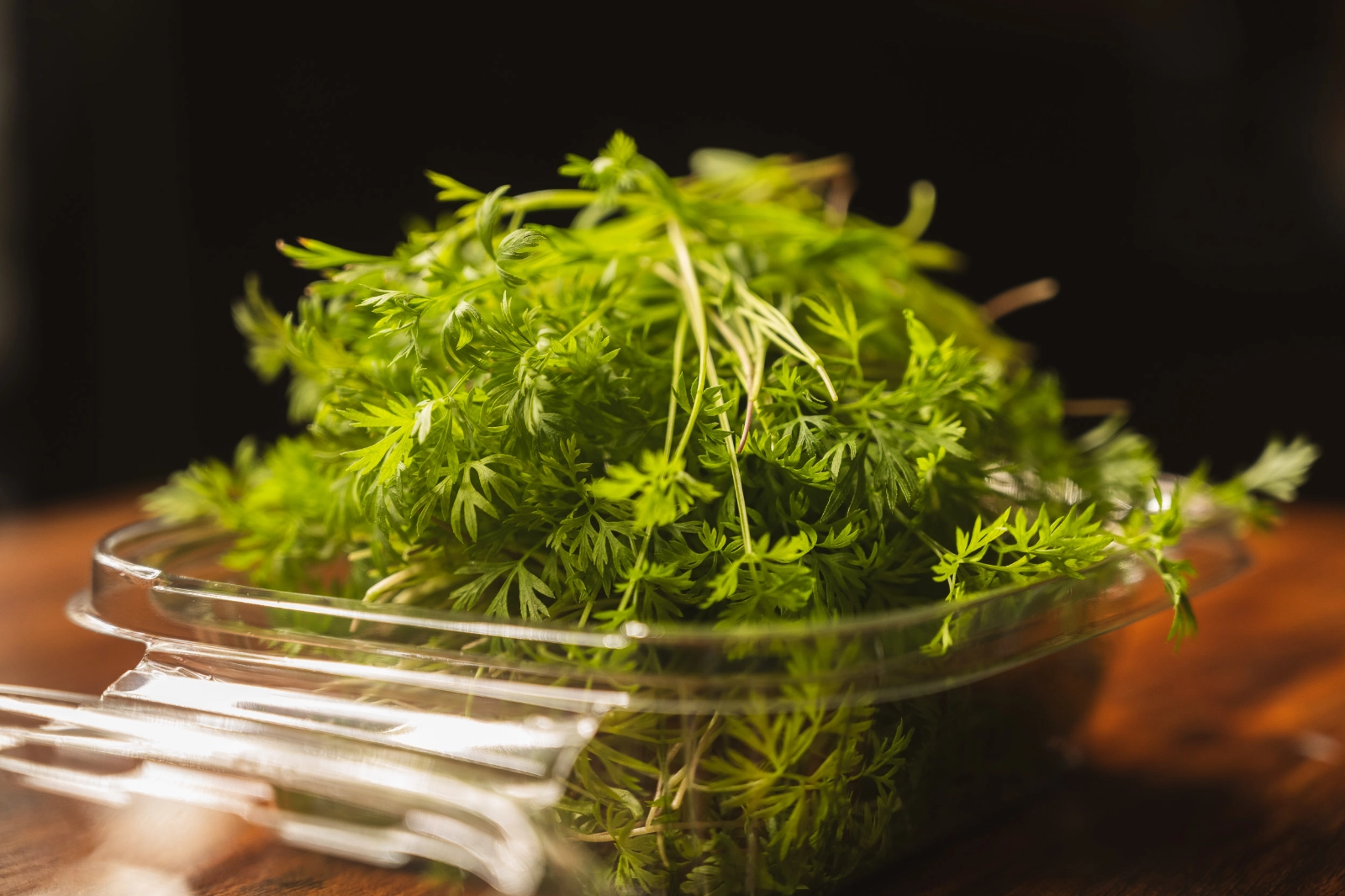 carrot-microgreens-1-oz