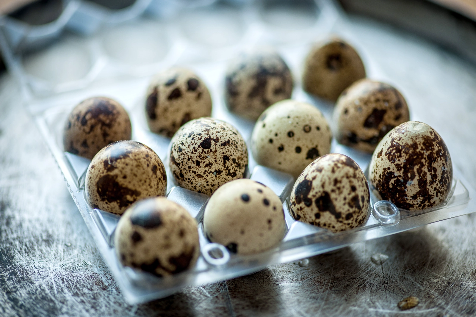quail-eggs-24-eggs-per-pack