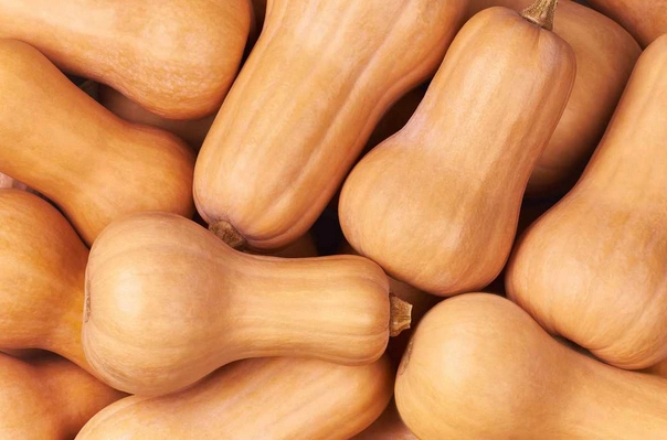 butternut-squash-each-3