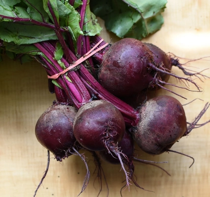 beets-1-lb-no-tops