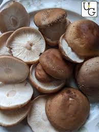 premium-large-cap-shiitake-caps-only