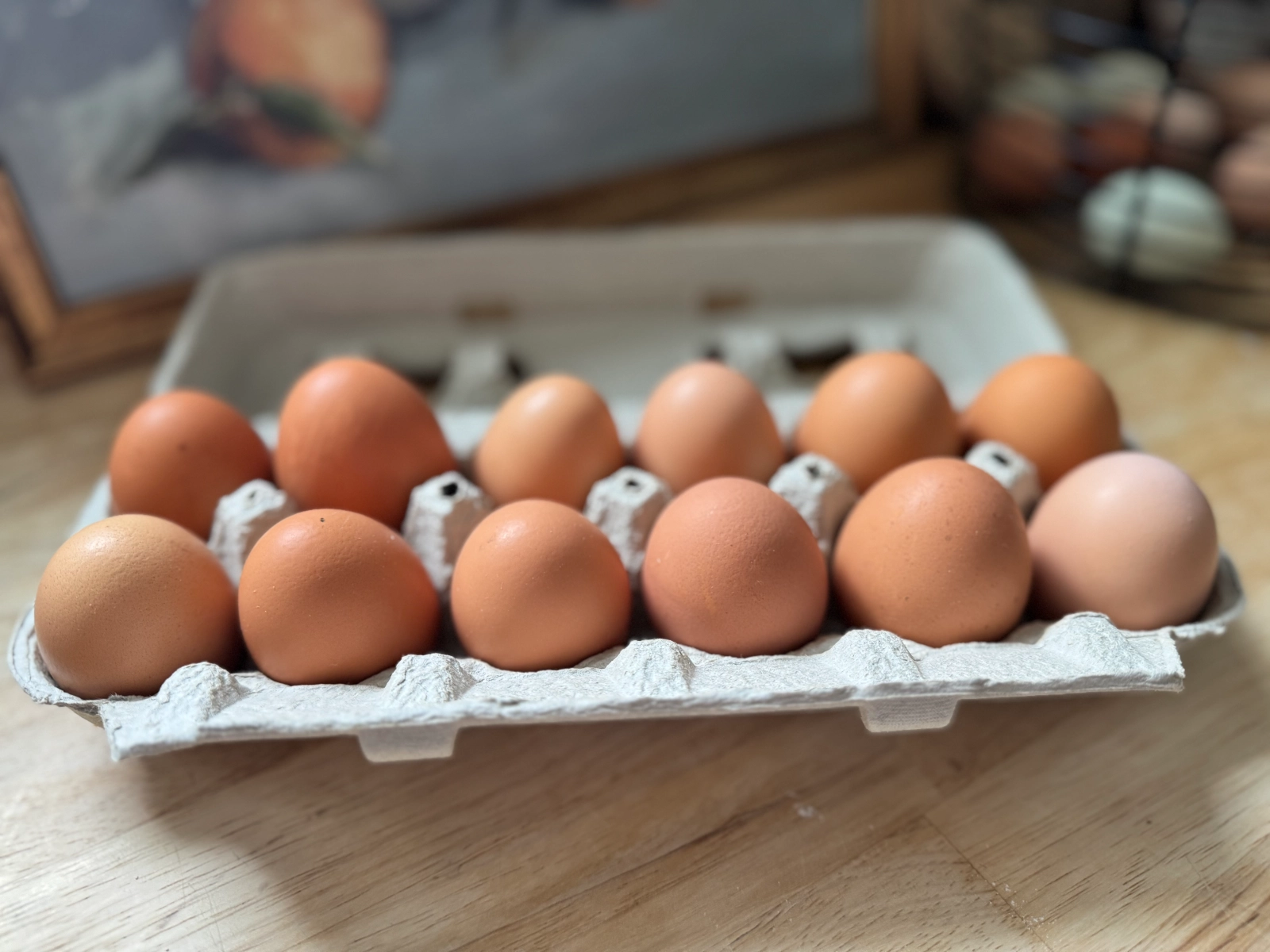 brown-farm-fresh-eggs