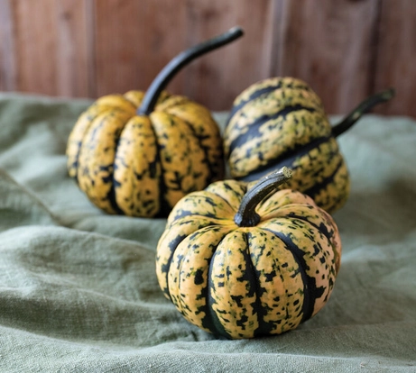 honey-bun-acorn-squash-1-lb