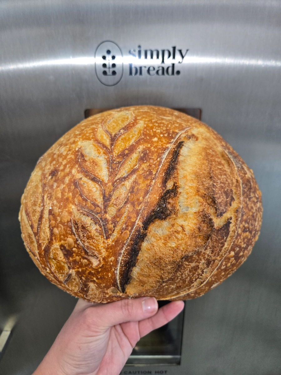 organic-orginial-sourdough-artisan-loaf-