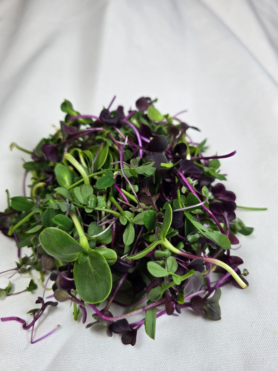 spicy-farmers-blend-microgreens