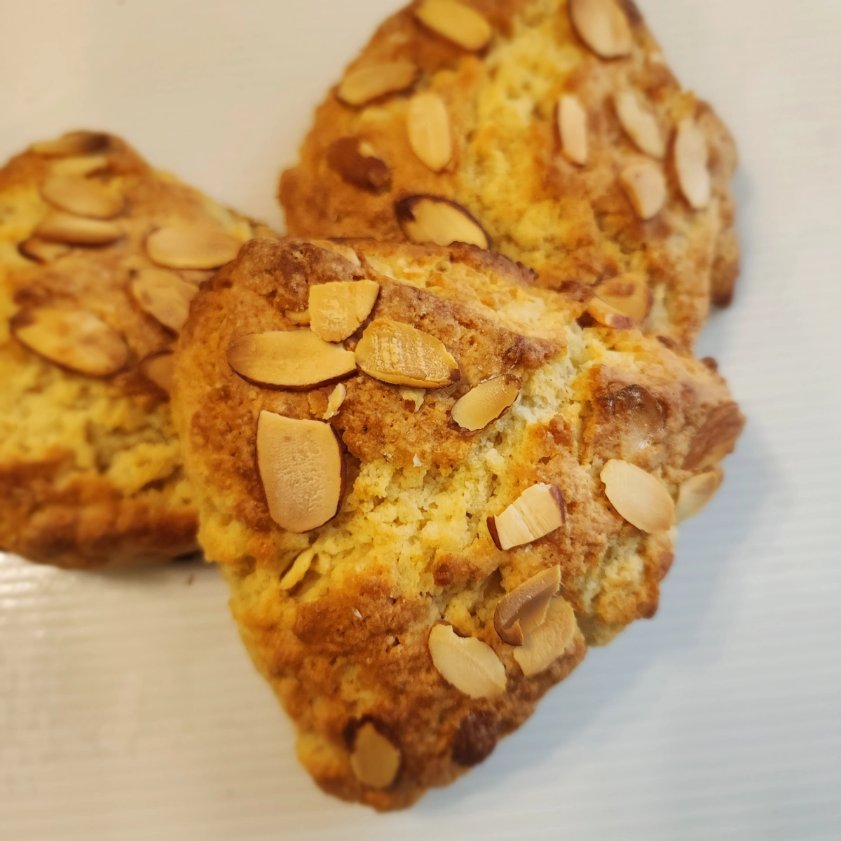 lemon-almond-scone