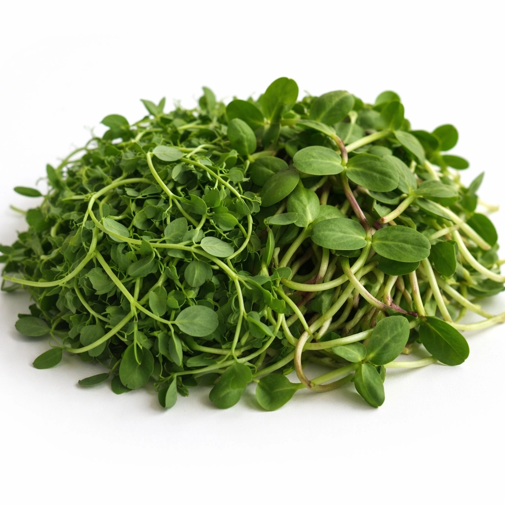 protein-boost-mix-microgreens-sunflower-pea-shoots