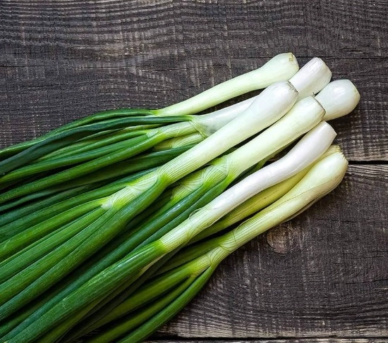 fresh-picked-bunching-onions