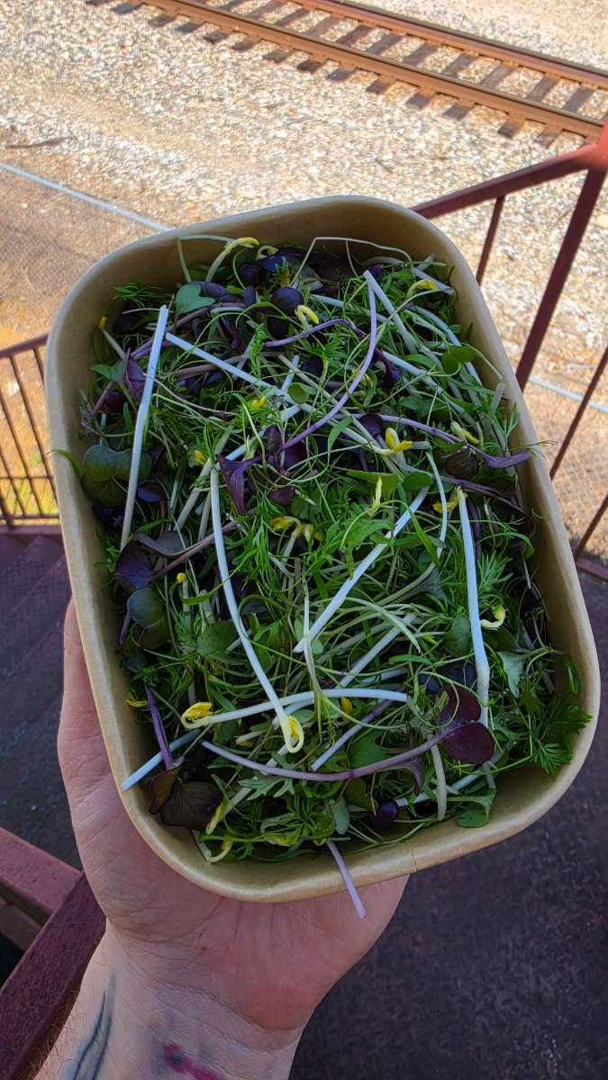 seasonal-chefs-blend