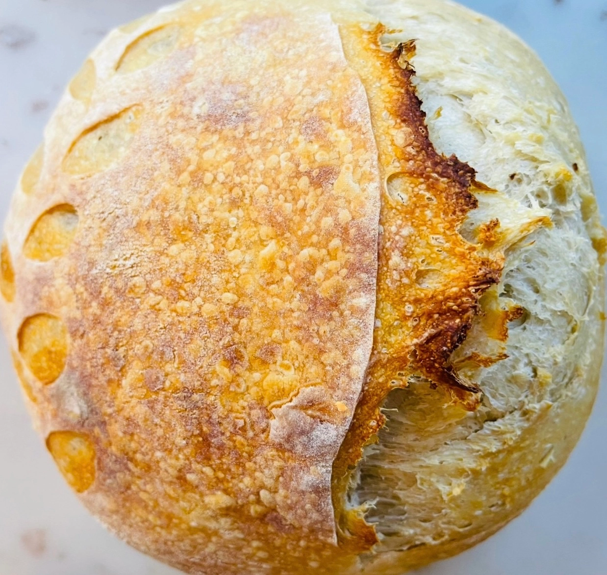 classic-sourdough-loaf-2