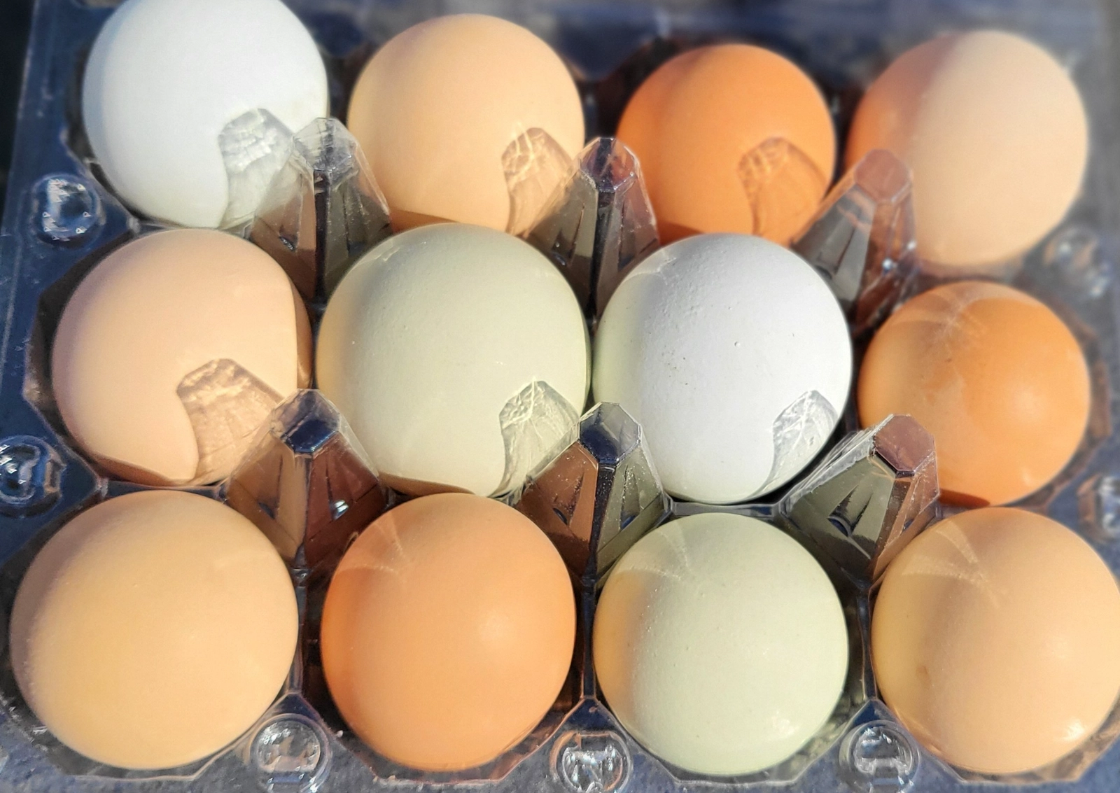 chicken-eggs-1-dozen-18