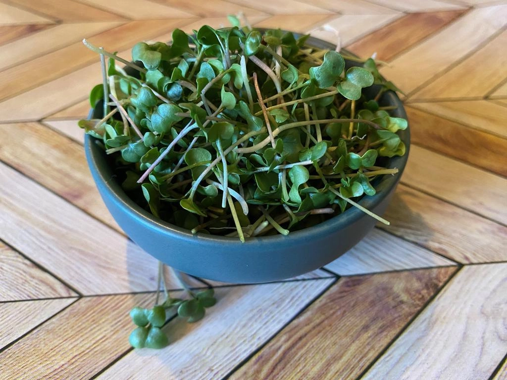 microgreens-broccoli-sunflower-radish-peas