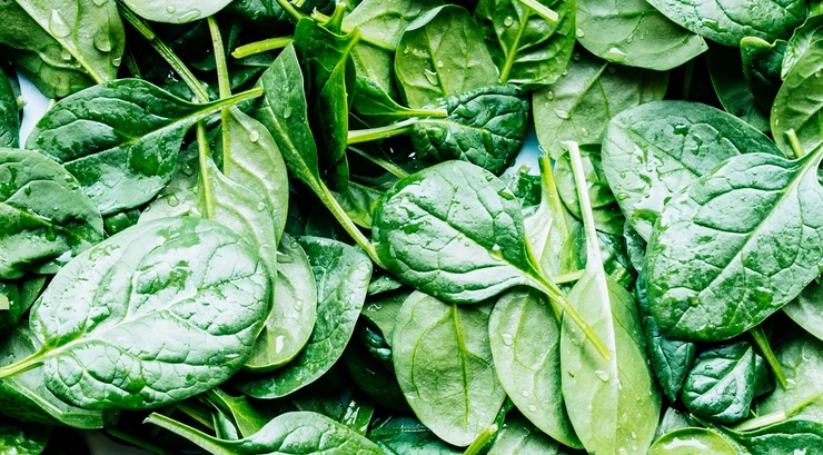 spinach-12-lb-bag-new