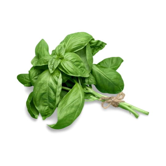 basil-5-oz-2